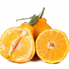 不知火丑橘新鲜丑八怪橘子10斤当季孕妇水果蜜橘桔子粑粑包邮柑橘