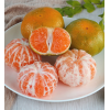 助农桔子正宗宜昌蜜桔当季早熟现摘新鲜橘子薄皮柑橘爱心5斤包邮