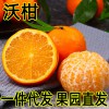 现货 广西武鸣沃柑蜜橘子新鲜时令水果10斤大果当季桔子整箱批发