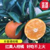 红美人柑橘贵妃柑玫瑰香柑杂柑香甜多汁非爱媛果冻橙3斤/5斤/9斤