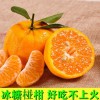 湖北新鲜椪柑芦柑好吃不上火新鲜水果一件代发非砂糖橘小金桔丑橘