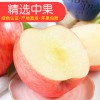 洛川红富士苹果24枚80实惠装应季新鲜陕西水果批发 一件代发包邮