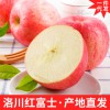 陕西洛川红富士苹果10斤24枚75新鲜脆甜水果农产品原产地一件代发