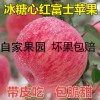 冰糖心红富士苹果10斤装 批发脆甜应季水果 红富士苹果圣诞果